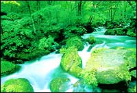 Oirase River Oirase River